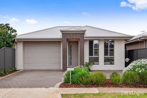 Property photo of 19A Cairns Avenue Warradale SA 5046
