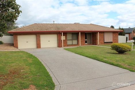 Property photo of 7 Berberick Court Thurgoona NSW 2640