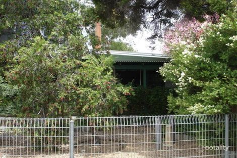 Property photo of 38 Bligh Street Baradine NSW 2396