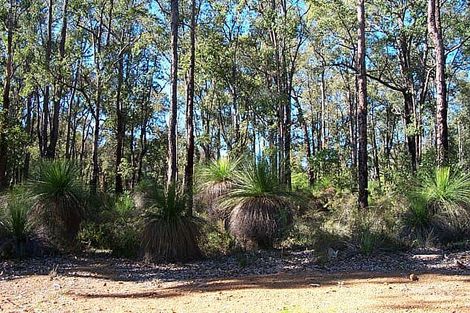 6 Kalari Way, Stoneville, WA 6081