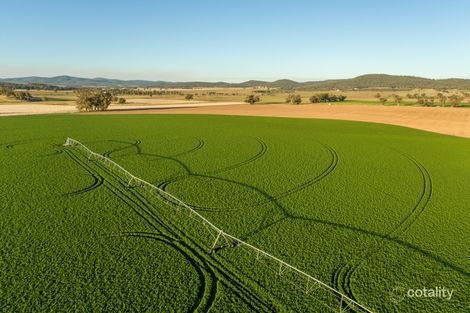 1592 Casuarina Dr, Gooloogong, NSW 2805