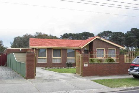 Property photo of 25 Murchison Crescent Clayton South VIC 3169