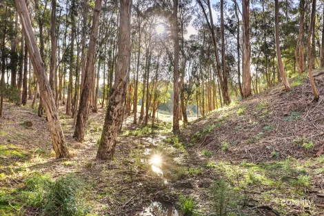 144 Tolmie-Mahaikah Rd, Tolmie, VIC 3723