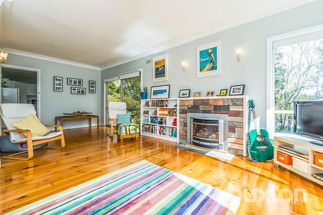 Property photo of 18 Elsvern Avenue Belmont VIC 3216