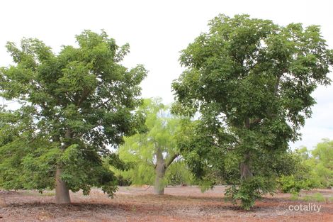 Property photo of 74 Lullfitz Drive Bilingurr WA 6725