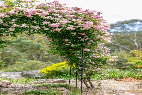 Property photo of 23 Waratah Road Warrimoo NSW 2774