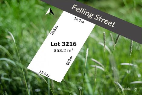 Property photo of 36 Felling Street Box Hill NSW 2765