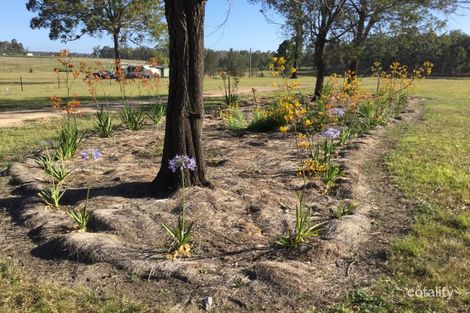 107 Orara Downs Lane, Levenstrath, NSW 2460