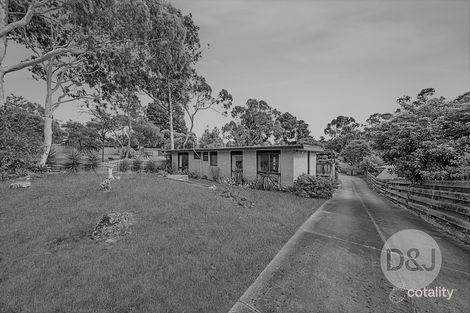 Property photo of 21 Kuranda Street Langwarrin VIC 3910