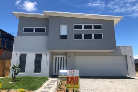 15 Tiffany St, Newport, QLD 4020