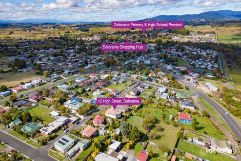 Property photo of 12 High Street Deloraine TAS 7304