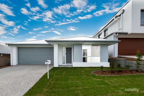 126 Danbulla St, South Ripley, QLD 4306