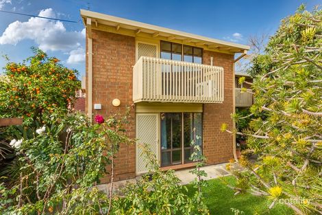 Property photo of 3/41 Everard Avenue Ashford SA 5035