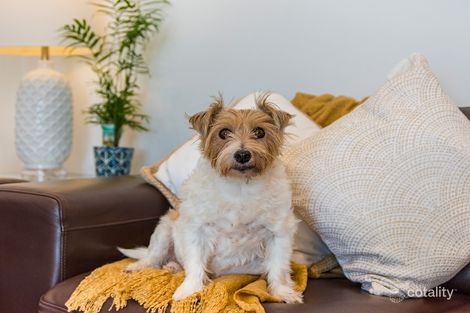 301/116 Annie St, New Farm, QLD 4005