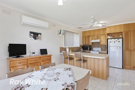 Property photo of 19 Tahara Street Hamlyn Heights VIC 3215