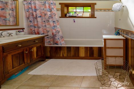 Property photo of 10 Malabar Street East Launceston TAS 7250