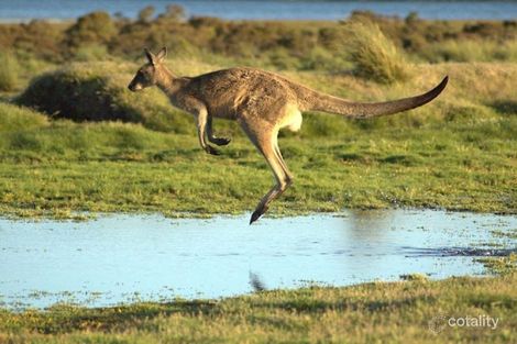 Property photo of 7 Sandpiper Close Mission Beach QLD 4852