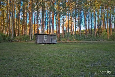 Property photo of 248 Spraggs Road Toolangi VIC 3777