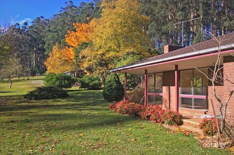 248 Spraggs Rd, Toolangi, VIC 3777