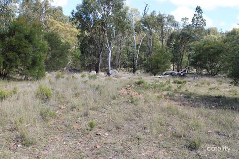 1995 Torrington Rd, Torrington, NSW 2371