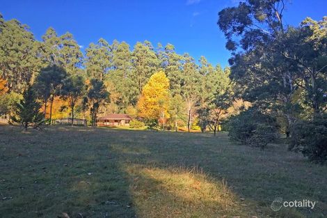 Property photo of 248 Spraggs Road Toolangi VIC 3777