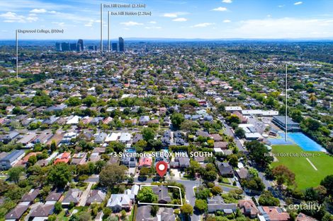 Property photo of 3 Sycamore Street Box Hill South VIC 3128