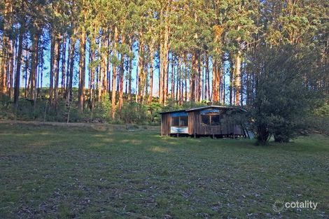 Property photo of 248 Spraggs Road Toolangi VIC 3777