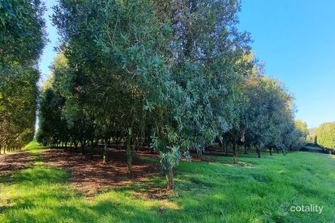 52 Dalwood Rd, Dalwood, NSW 2477