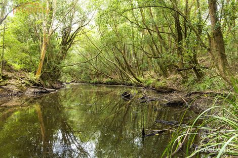 Property photo of 356 Browns Crossing Road Eungai Creek NSW 2441
