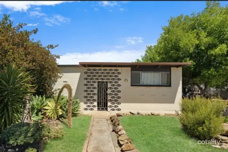 19 Livingstone Ave, Prospect, SA 5082