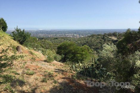 Property photo of 21 Ridgeland Drive Teringie SA 5072