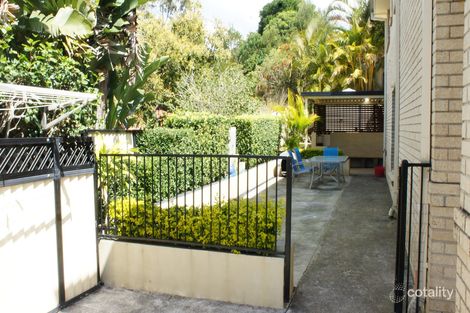 Property photo of 3 White Fig Court Banora Point NSW 2486