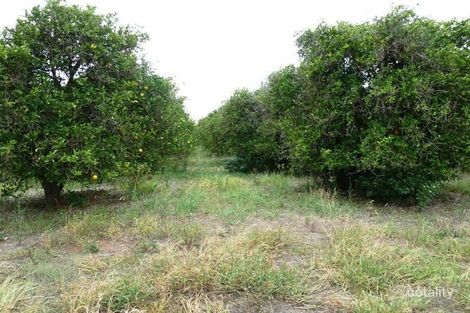Property photo of 107 Briers Road Loxton North SA 5333