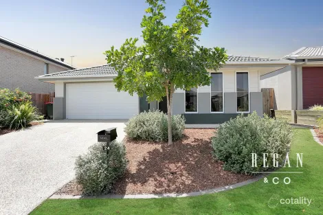 Property photo of 24 Wolfe Street North Lakes QLD 4509