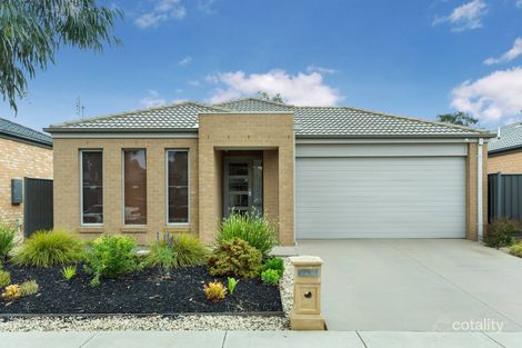 Property photo of 7 Pamela Avenue Jackass Flat VIC 3556