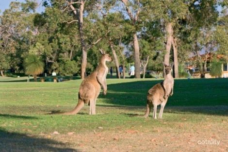 Property photo of 23 Muscat Terrace The Vines WA 6069