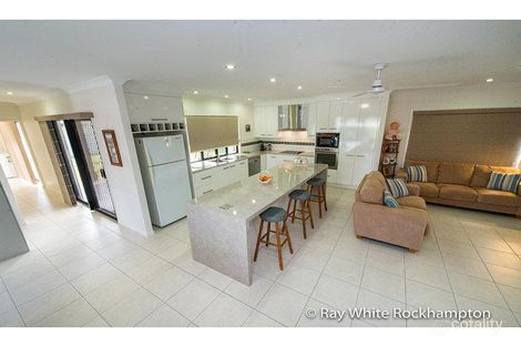 Property photo of 10 Tamarind Avenue Norman Gardens QLD 4701
