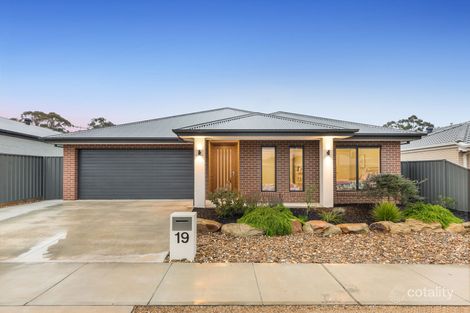 Property photo of 19 McEniry Way Strathfieldsaye VIC 3551