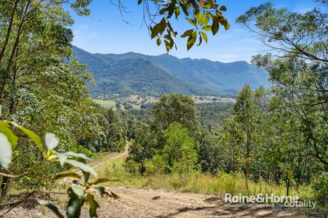 Property photo of 131 Boormans Road Tyalgum NSW 2484