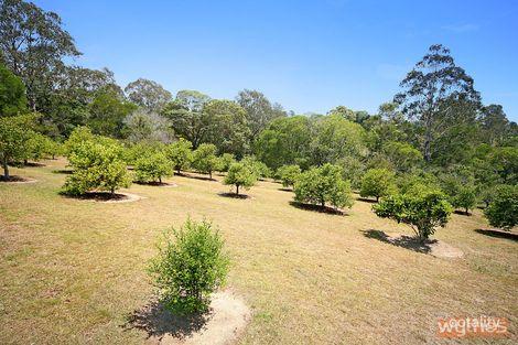 Property photo of 60 Lawnville Road Black Mountain QLD 4563
