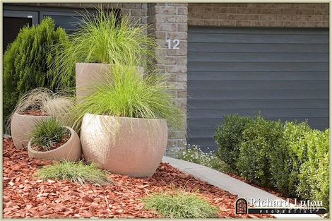 Property photo of 12/11 Florence Fuller Crescent Conder ACT 2906