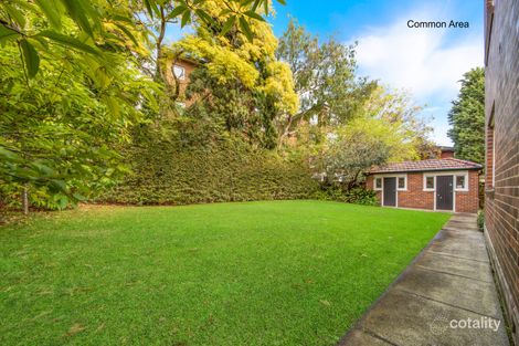 Property photo of 3/163 Avenue Road Mosman NSW 2088