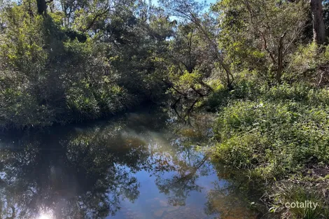 Property photo of 476 Paddys Flat Road Tabulam NSW 2469