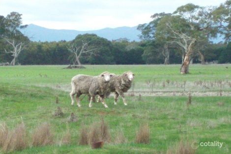 9747 Natimuk-Hamilton Rd, Cavendish, VIC 3314