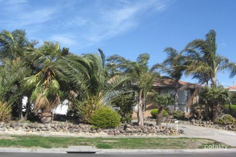 13 Cardamon Dr, Hallam, VIC 3803