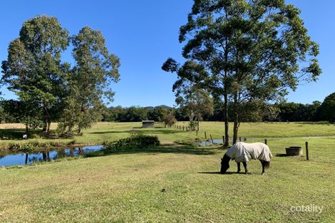 Property photo of 90-100 Seib Road Eumundi QLD 4562