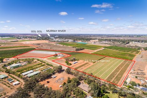 250 Pitman Ave, Gol Gol, NSW 2738