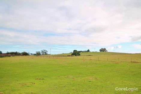 Property photo of 80 Apps Lane Young NSW 2594