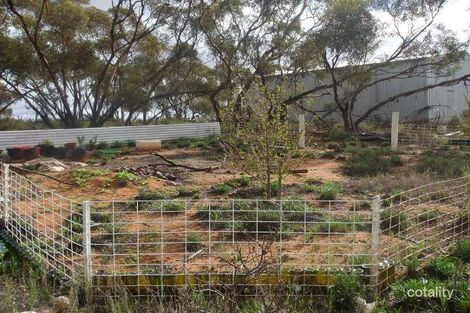 Property photo of 168 Riverboat Drive Cadell SA 5321