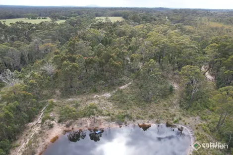 Property photo of 726 Cabbage Tree-Conran Road Marlo VIC 3888